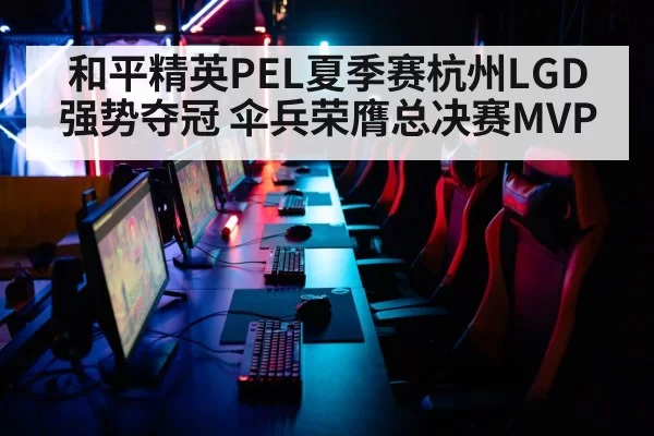 和平精英PEL夏季赛杭州LGD强势夺冠 伞兵荣膺总决赛MVP