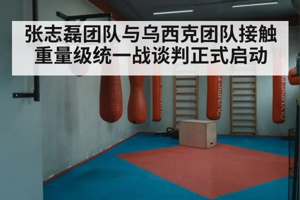 张志磊团队与乌西克团队接触 重量级统一战谈判正式启动