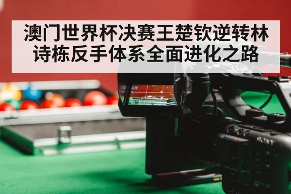 澳门世界杯决赛王楚钦逆转林诗栋反手体系全面进化之路
