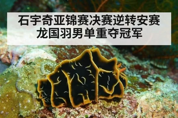 石宇奇亚锦赛决赛逆转安赛龙国羽男单重夺冠军